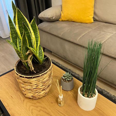 Apartament Mirage Sunset Mamaja Zewnętrze zdjęcie